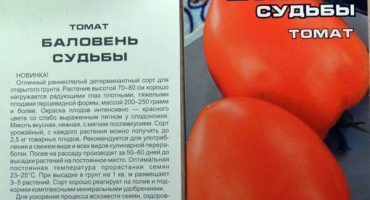 Popis odrůdy rajčat, miláček osudu a pravidla pěstování